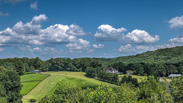 view of mountain feature with a view of trees