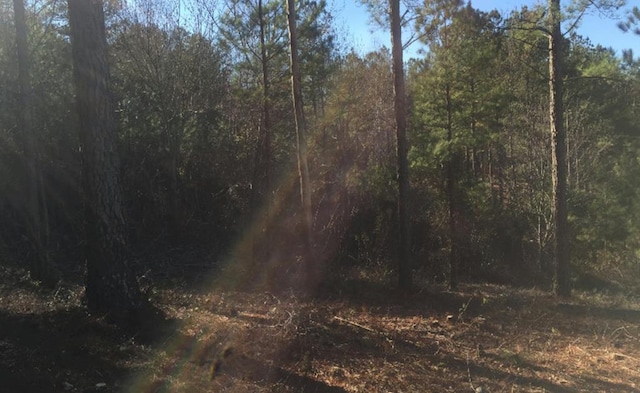 LOT38 Loftis Mtn, Blairsville GA, 30512 land for sale