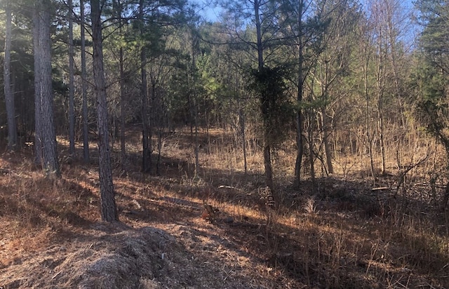 Listing photo 2 for LOT38 Loftis Mtn, Blairsville GA 30512