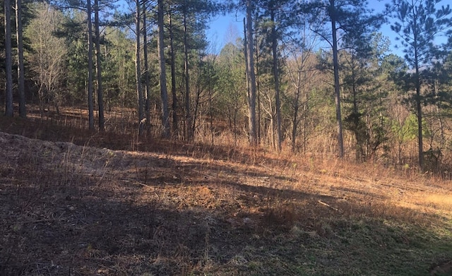 Listing photo 3 for LOT38 Loftis Mtn, Blairsville GA 30512