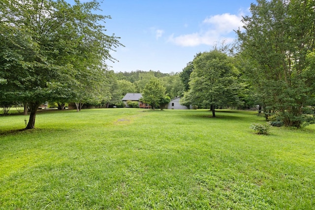 76 Misty River Ln, Hayesville, NC 28904 - view of grassy yard