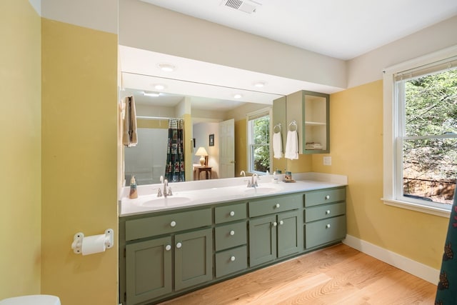 76 Misty River Ln, Hayesville, NC 28904 - full bathroom with double vanity, healthy amount of natural light, wood finished floors, and a shower with shower curtain