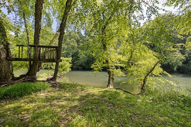 76 Misty River Ln, Hayesville, NC 28904 - view of yard