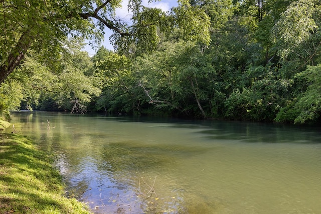 76 Misty River Ln, Hayesville, NC 28904 - water view featuring a forest