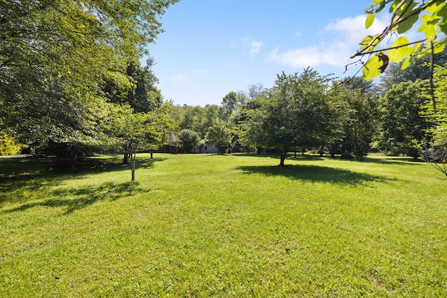 76 Misty River Ln, Hayesville, NC 28904 - view of grassy yard