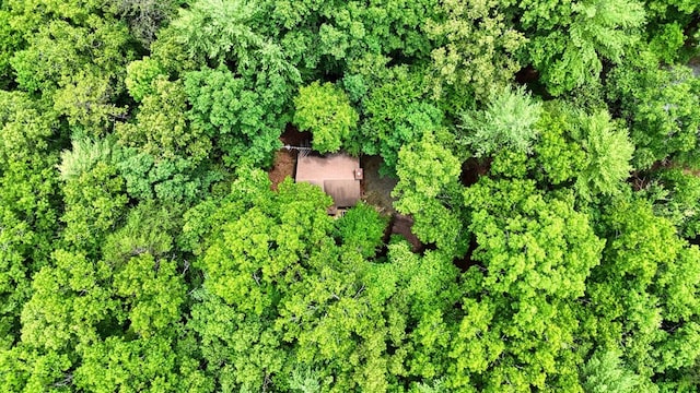 119 Blair Oaks Dr, Blairsville, GA 30512 - aerial view of property and surrounding area