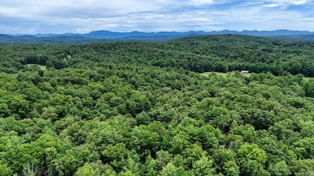 119 Blair Oaks Dr, Blairsville, GA 30512 - drone / aerial view of a mountain backdrop