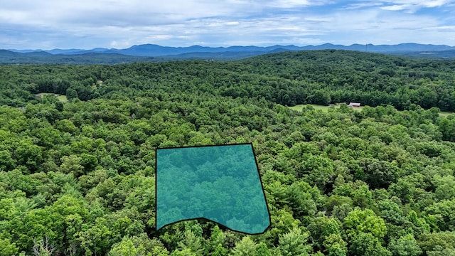 119 Blair Oaks Dr, Blairsville, GA 30512 - drone / aerial view of a mountain backdrop