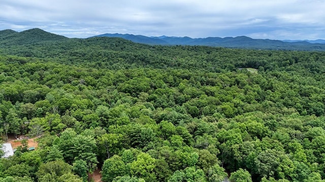 119 Blair Oaks Dr, Blairsville, GA 30512 - view of mountain background with a heavily wooded area