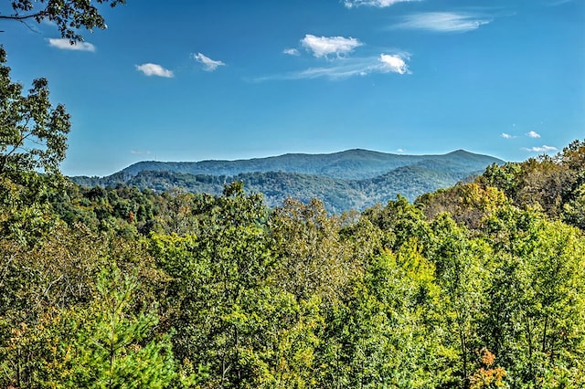 property view of mountains