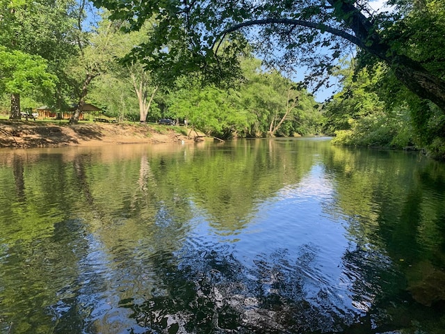 water view featuring a forest