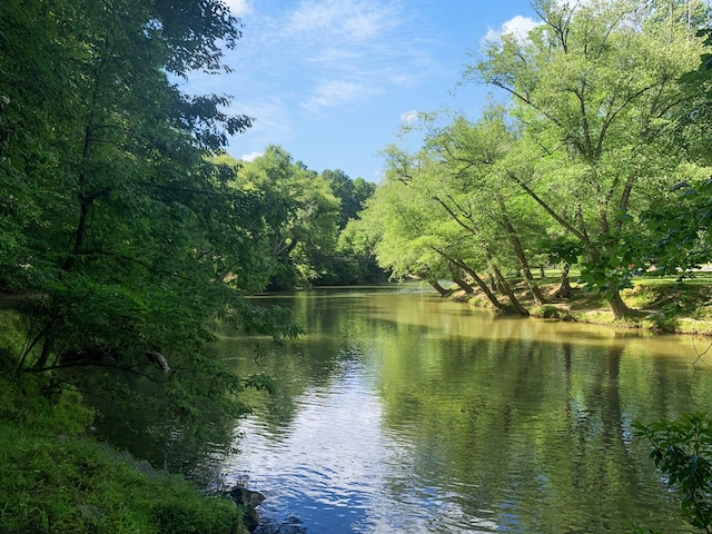 water view featuring a forest