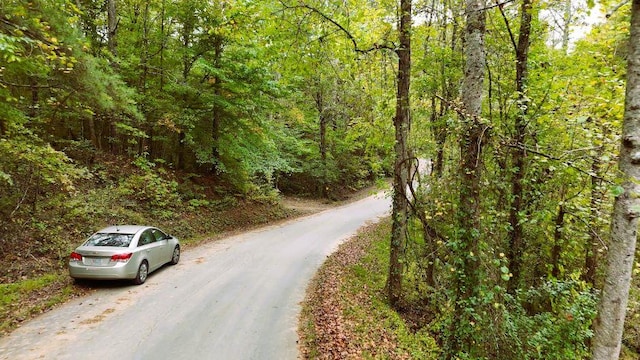 TBD Novel Ct, Ellijay GA, 30540 land for sale