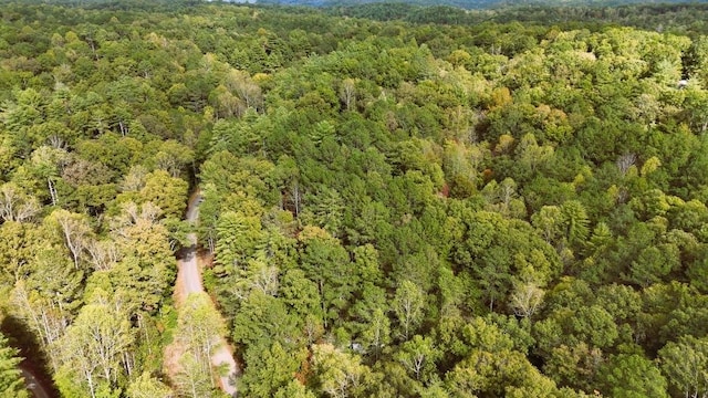 Listing photo 2 for TBD Novel Ct, Ellijay GA 30540