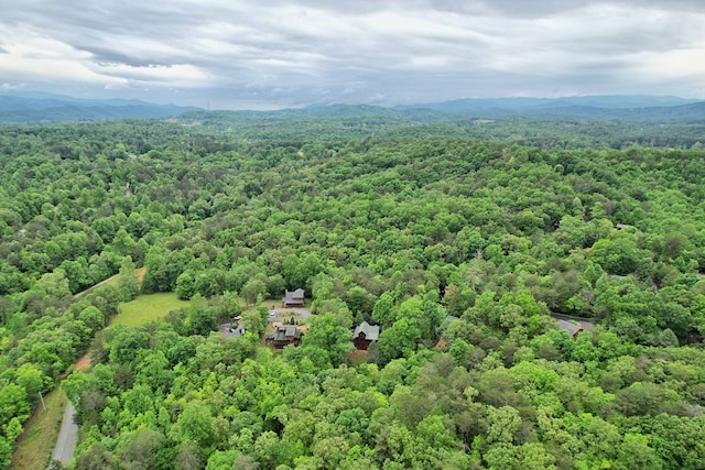 aerial view featuring a mountain view