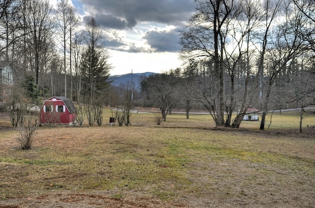 view of yard featuring a storage unit, a mountain view, and a rural view