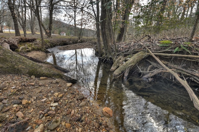 view of water feature