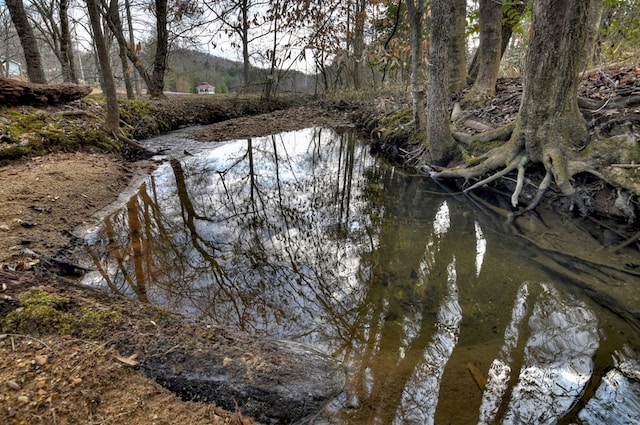 view of water feature