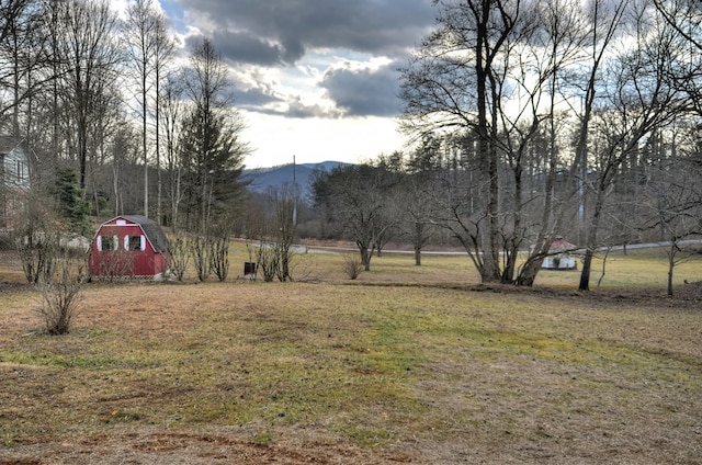 view of yard with a storage unit, a mountain view, and a rural view