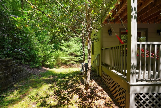 view of yard