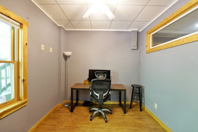 office space featuring light wood-style floors, a ceiling fan, baseboards, and a drop ceiling