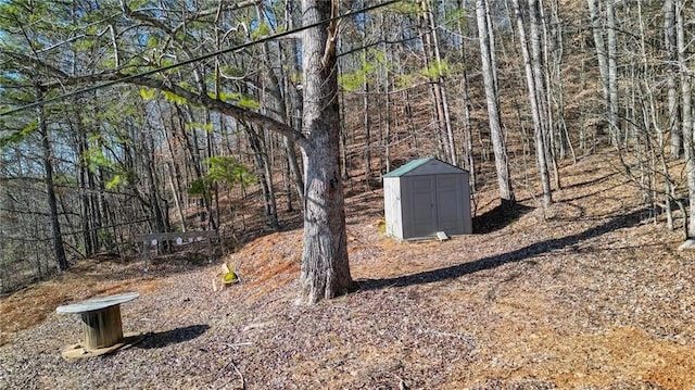 view of yard featuring a storage shed