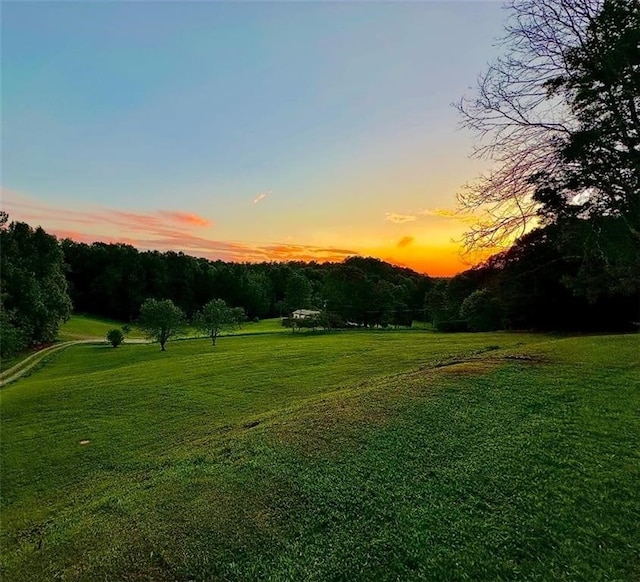 view of yard at dusk