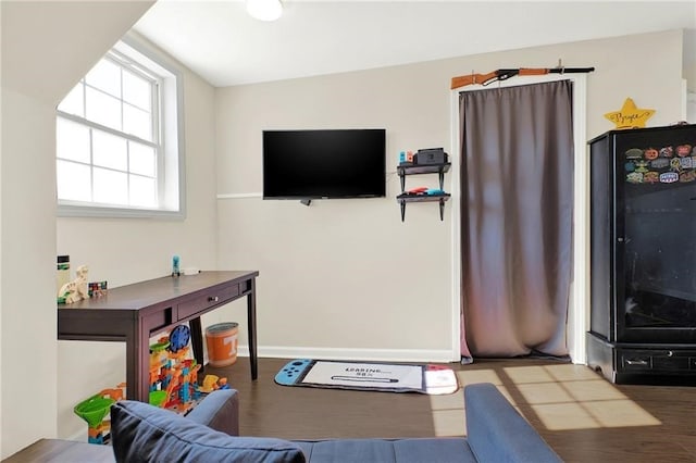 living room featuring wood-type flooring