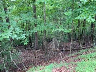 LOT167 Tara Dr, Ellijay GA, 30540 land for sale