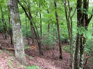 Listing photo 2 for LOT167 Tara Dr, Ellijay GA 30540