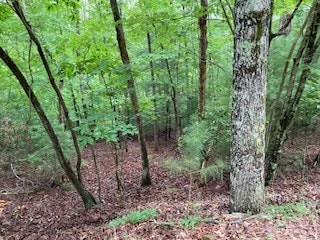 Listing photo 3 for LOT167 Tara Dr, Ellijay GA 30540