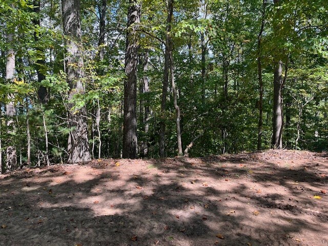 Listing photo 3 for LOT26 Longview Dr, Hayesville NC 28904