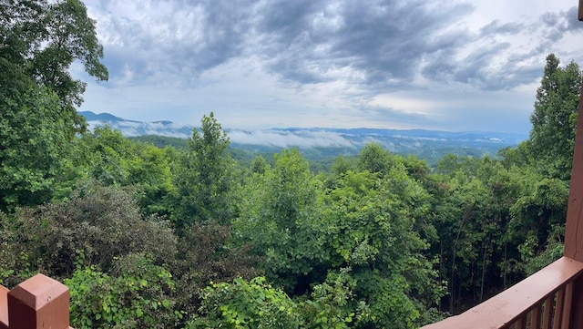 mountain view featuring a forest view