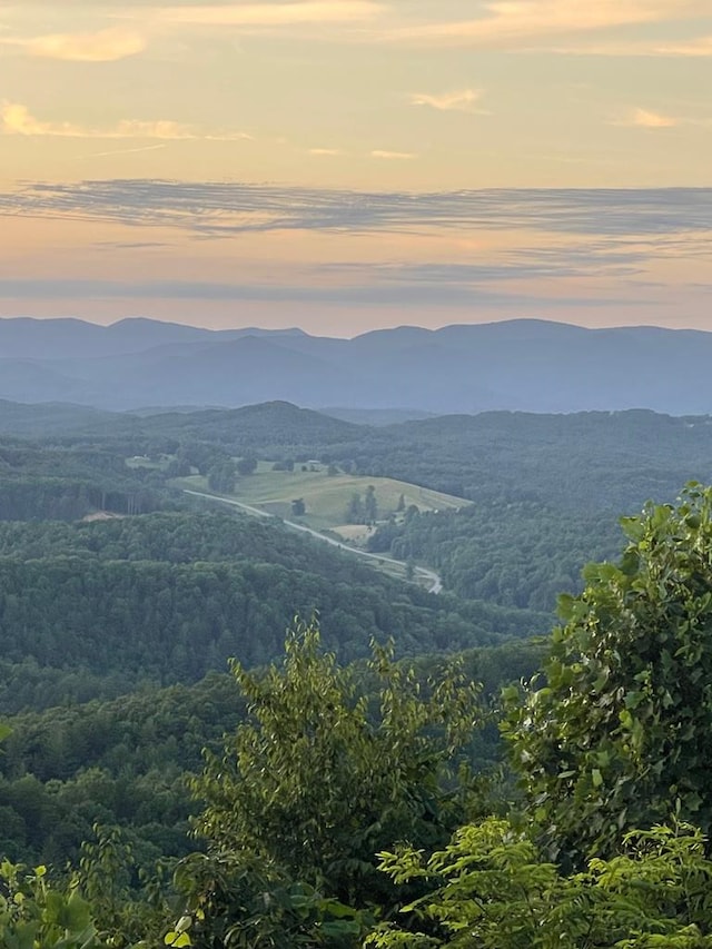 property view of mountains with a view of trees