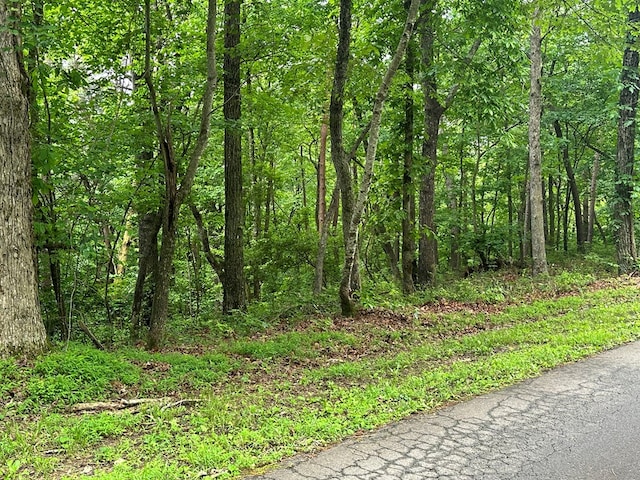 Listing photo 3 for LOT59 Timberwalk Dr, Ellijay GA 30540