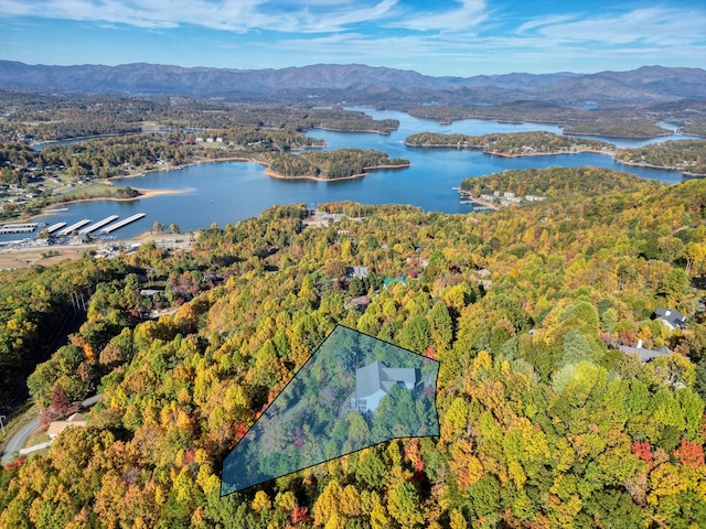 drone / aerial view featuring a water and mountain view