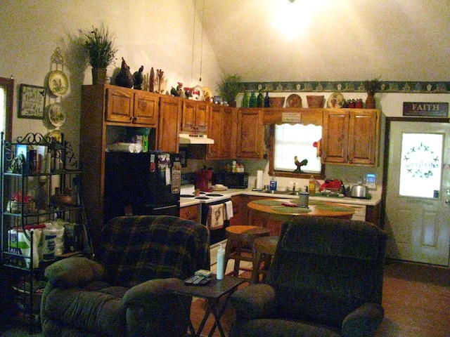 kitchen with ventilation hood, lofted ceiling, and electric stove