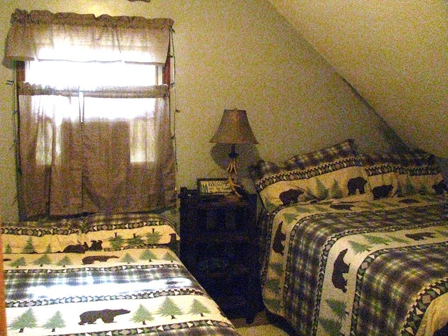 2520 Rd 4748, Hiawassee, GA 30546 - bedroom featuring lofted ceiling