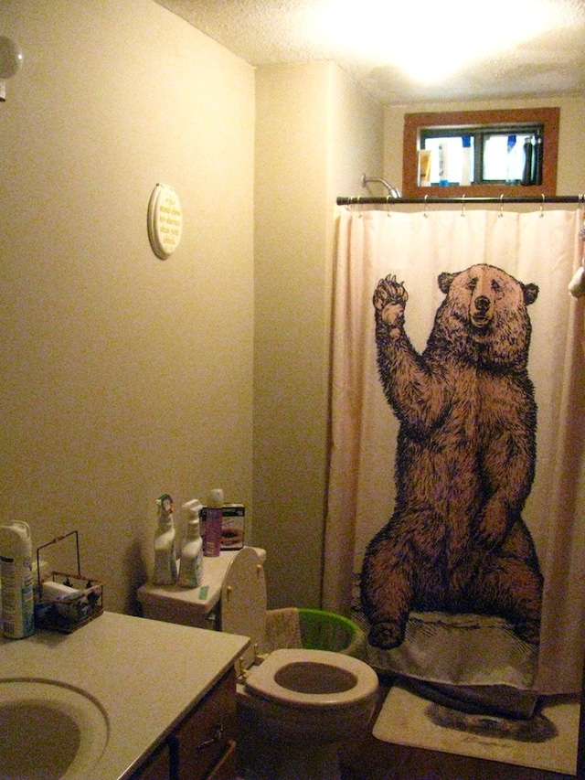 bathroom featuring vanity, toilet, and a shower with curtain