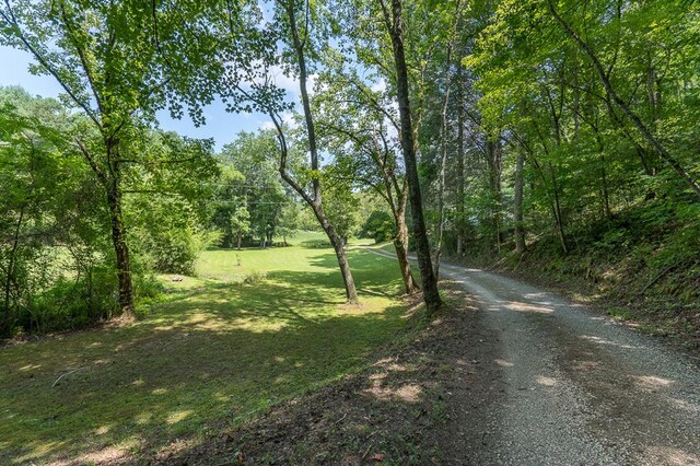 view of road