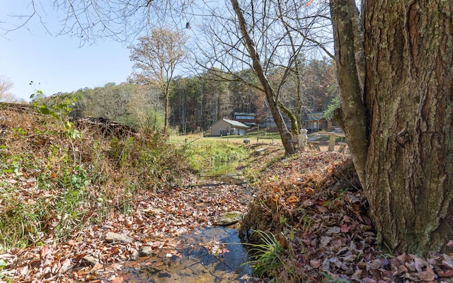 view of yard with a water view