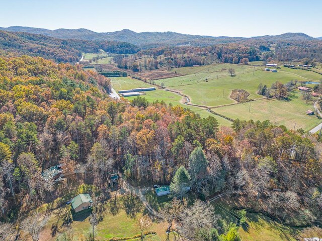 drone / aerial view with a mountain view