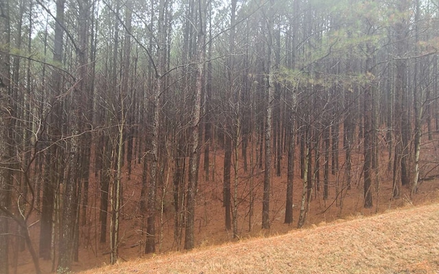 Listing photo 3 for 24 Ridge Top Dr, Ellijay GA 30536