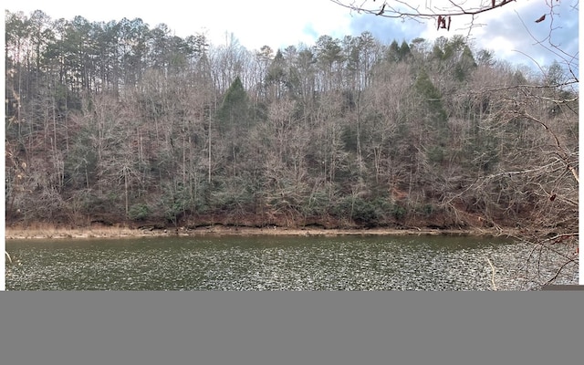 Listing photo 3 for 681, 682 Julep Cir, Ellijay GA 30540