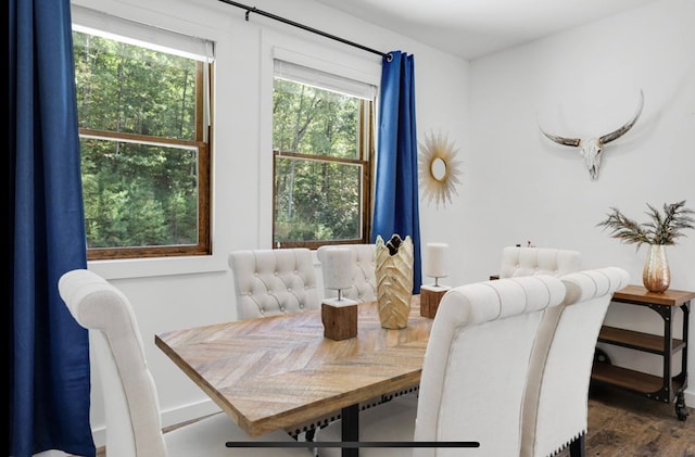 dining room featuring dark hardwood / wood-style flooring