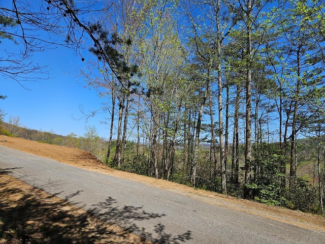 Listing photo 2 for 5.22 Deer Crest Rd, Blue Ridge GA 30513