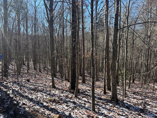 Listing photo 2 for LOT16 Deer Run Rd, Blairsville GA 30512