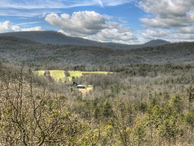 view of mountain feature featuring a forest view