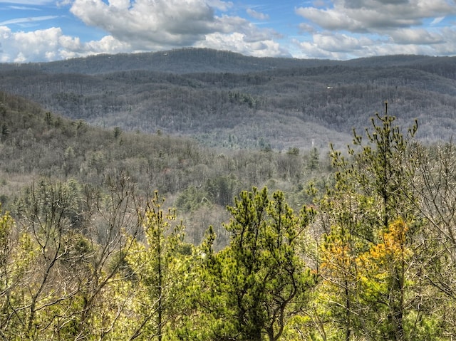 property view of mountains featuring a wooded view