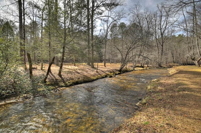 water view featuring a forest view